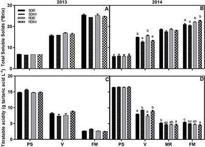 Grape Ripening Is Regulated by Deficit Irrigation/Elevated Temperatures According to Cluster Position in the Canopy